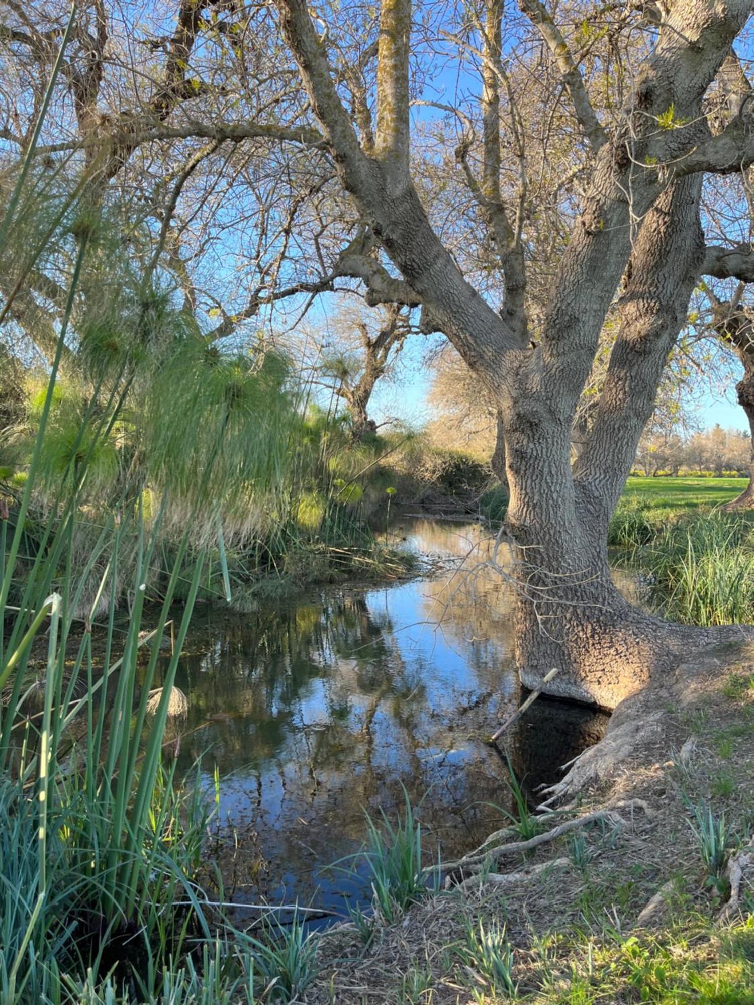 U Pantanu Daire Siraküza Dış mekan fotoğraf